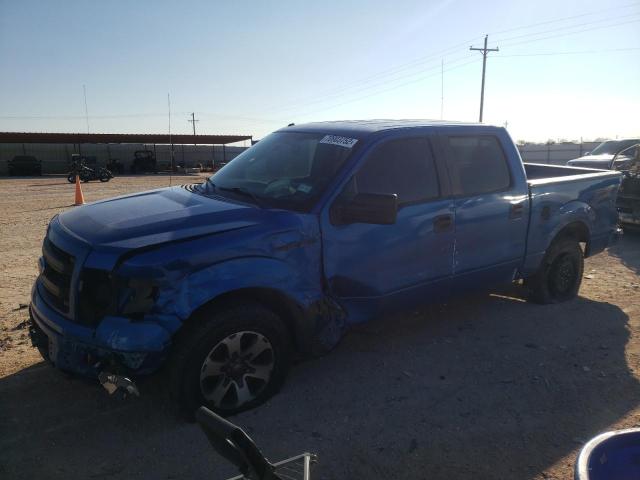 FORD F150 SUPER 2014 with VIN 1FTEW1CMXEFA69663 - Photo from auction