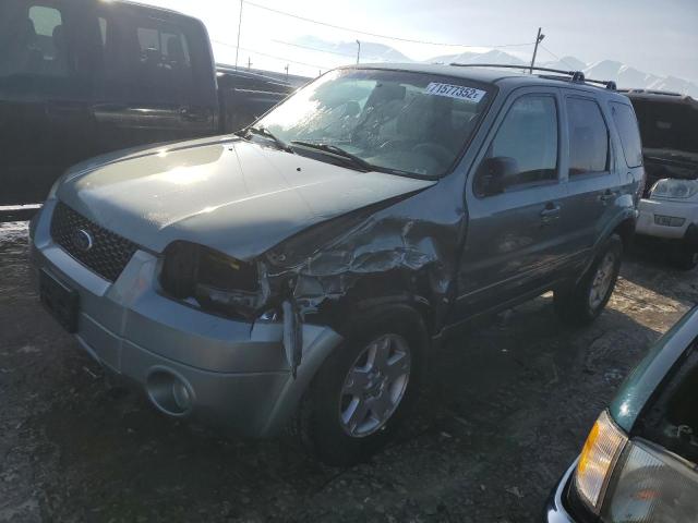 FORD ESCAPE LIM 2006 with VIN 1FMYU94196KD02099 - Photo from auction