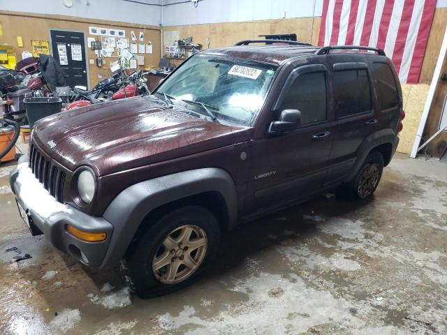 Photo 1 from auction – 2004 JEEP LIBERTY SP with VIN 1J4GL48K64W289627