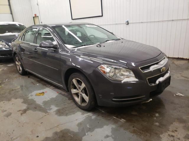 Photo 4 from auction – 2011 CHEVROLET MALIBU 1LT with VIN 1G1ZC5E11BF100761