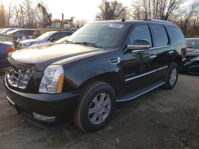 CADILLAC ESCALADE 2010 with VIN 1GYUKAEF1AR144811 - Photo from auction