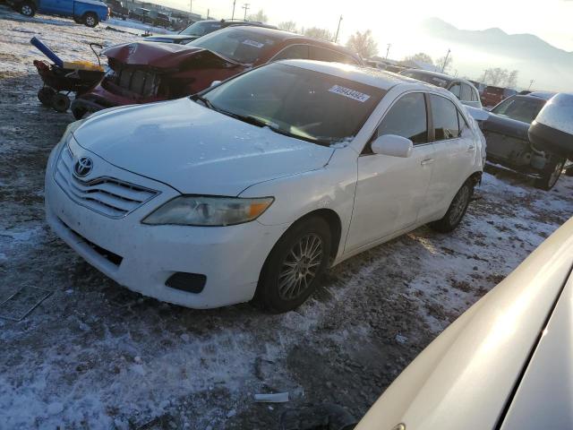 TOYOTA CAMRY BASE 2010 with VIN 4T4BF3EK1AR049707 - Photo from auction
