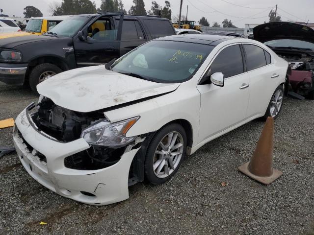 NISSAN MAXIMA S 2011 with VIN 1N4AA5AP1BC808214 - Photo from auction
