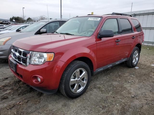FORD ESCAPE XLT 2011 with VIN 1FMCU0DG7BKC23583 - Photo from auction