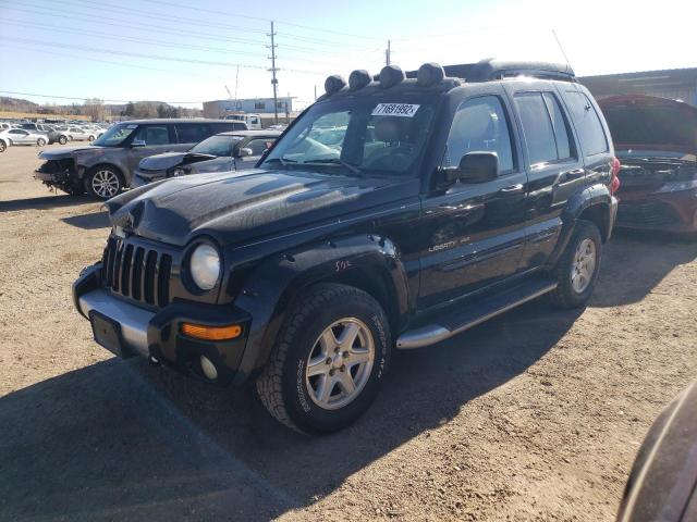 JEEP LIBERTY RE 2003 with VIN 1J8GL38K83W506411 - Photo from auction