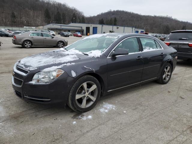 CHEVROLET MALIBU 1LT 2011 with VIN 1G1ZC5E16BF282649 - Photo from auction