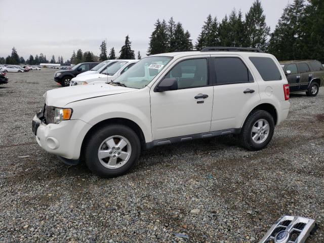 FORD ESCAPE XLT 2009 with VIN 1FMCU03729KD06964 - Photo from auction