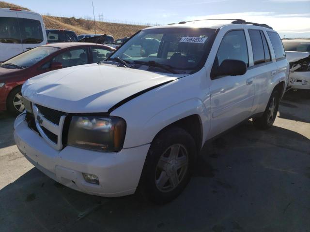Photo 1 from auction – 2009 CHEVROLET TRAILBLAZE with VIN 1GNDT33S192133544