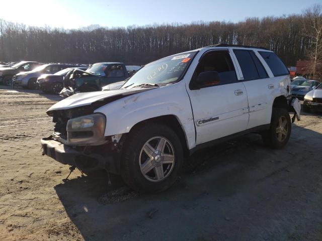 CHEVROLET TRAILBLAZE 2002 with VIN 1GNDT13S022473651 - Photo from auction