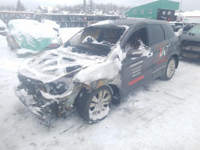 ACURA RDX 2010 with VIN 5J8TB1H22AA802761 - Photo from auction