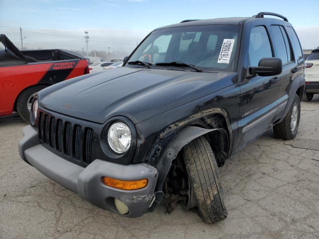 JEEP LIBERTY SP 2002 with VIN 1J4GL48K72W129351 - Photo from auction