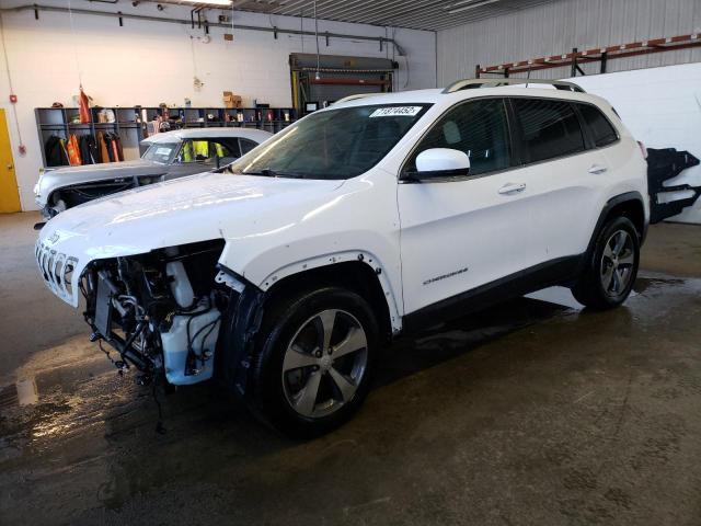JEEP CHEROKEE L 2019 with VIN 1C4PJMDN5KD167586 - Photo from auction