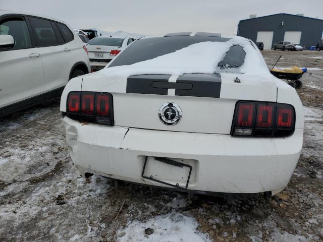 Photo 6 from auction – 2005 FORD MUSTANG with VIN 1ZVFT80N355133662