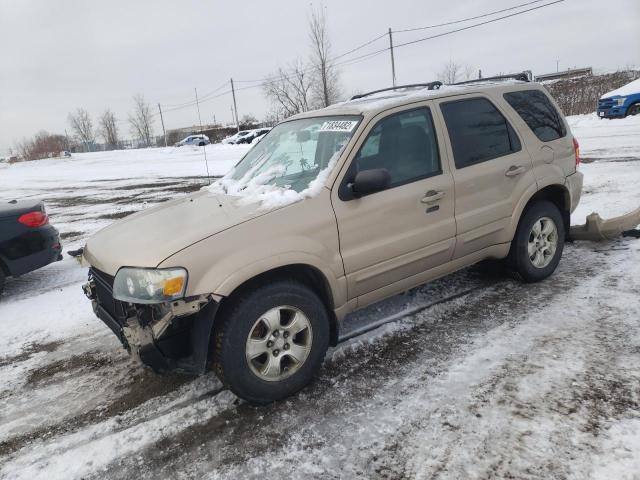 FORD ESCAPE LIM 2007 with VIN 1FMCU94117KA22141 - Photo from auction