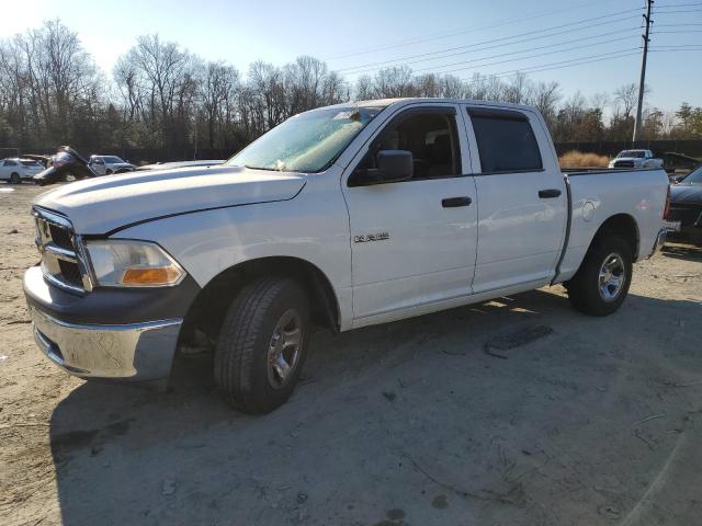 DODGE RAM 1500 2010 with VIN 1D7RV1CP4AS157906 - Photo from auction