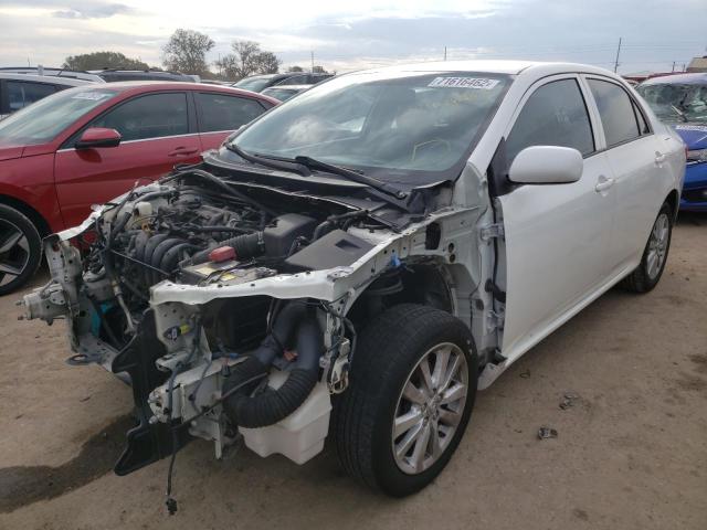 TOYOTA COROLLA BA 2009 with VIN JTDBL40E59J040505 - Photo from auction