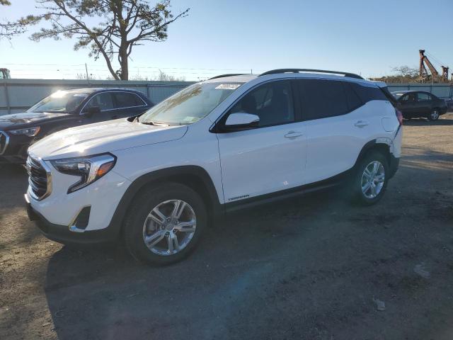 GMC TERRAIN SL 2021 with VIN 3GKALTEV2ML300895 - Photo from auction
