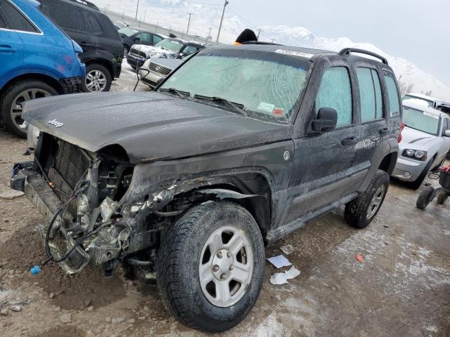 JEEP LIBERTY SP 2006 with VIN 1J4GL48K86W151025 - Photo from auction