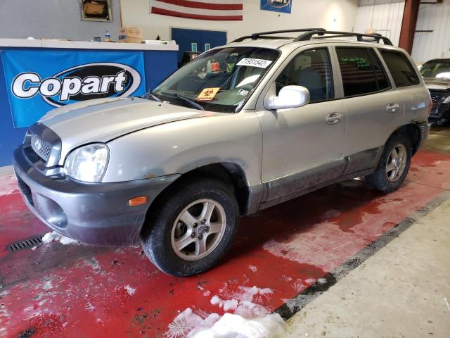 HYUNDAI SANTA FE G 2003 with VIN KM8SC73D23U453746 - Photo from auction