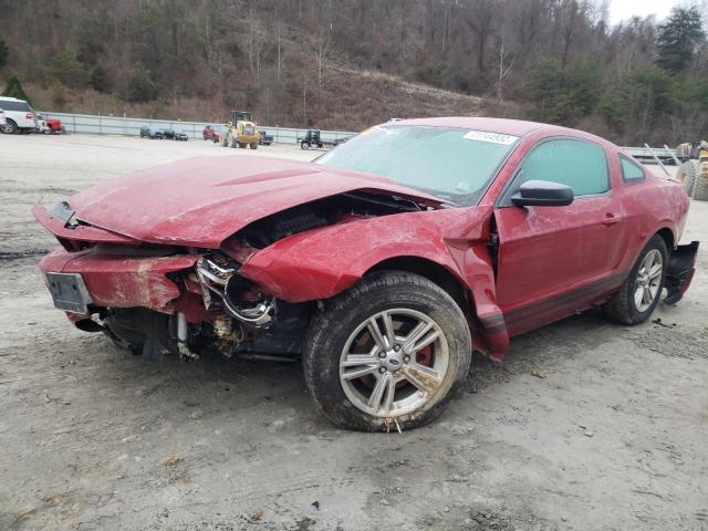 FORD MUSTANG 2012 with VIN 1ZVBP8AM1C5224435 - Photo from auction