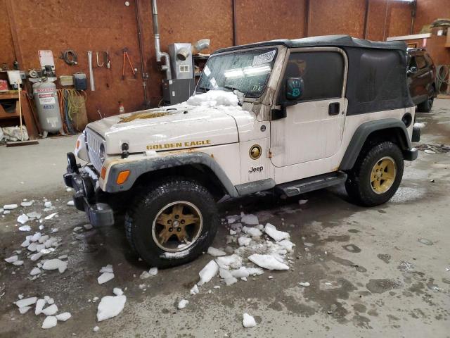 JEEP WRANGLER / 2006 with VIN 1J4FA49S16P718900 - Photo from auction