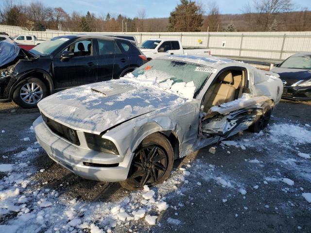 Photo 1 from auction – 2005 FORD MUSTANG with VIN 1ZVFT80N555253544