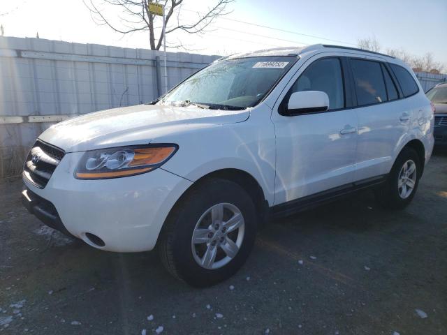 HYUNDAI SANTA FE G 2009 with VIN 5NMSG13D89H321015 - Photo from auction