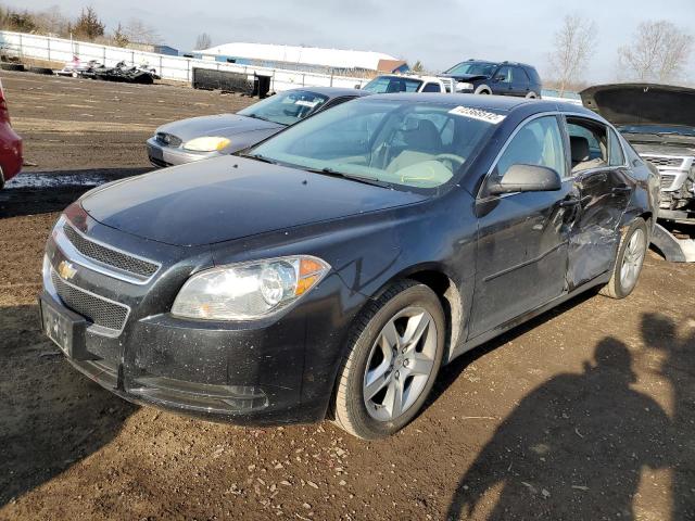 CHEVROLET MALIBU LS 2011 with VIN 1G1ZB5E19BF204367 - Photo from auction