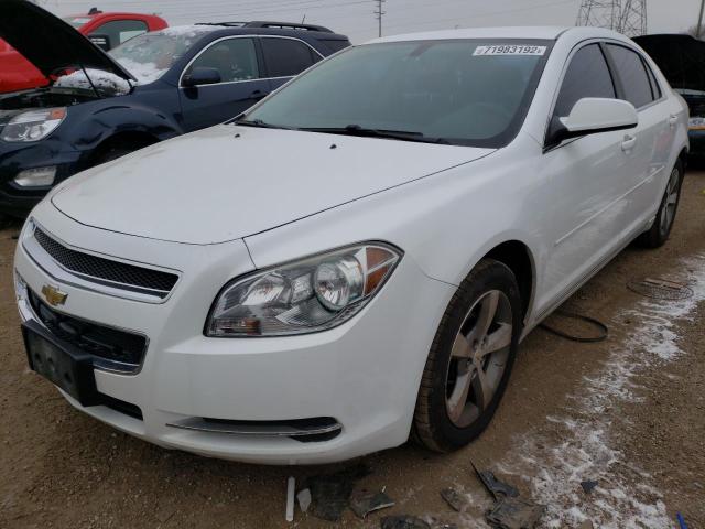 CHEVROLET MALIBU 1LT 2011 with VIN 1G1ZC5E16BF296809 - Photo from auction