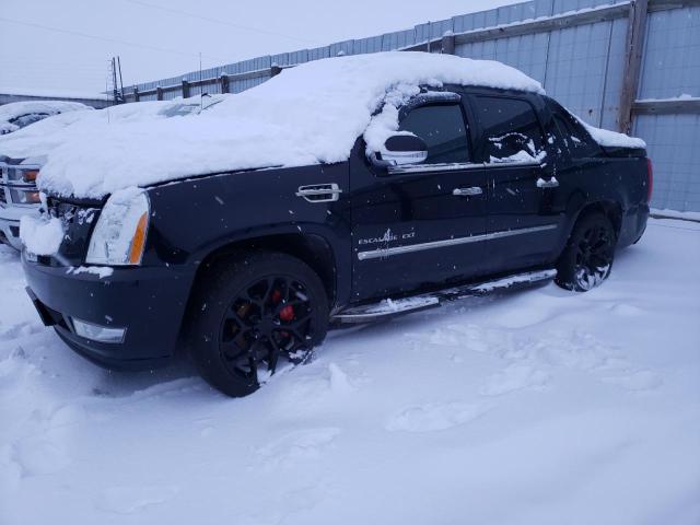 CADILLAC ESCALADE E 2010 with VIN 3GYVKMEF8AG249738 - Photo from auction