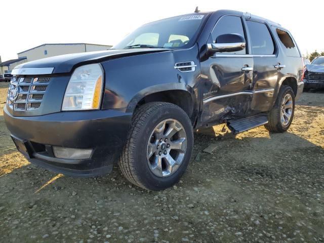 CADILLAC ESCALADE L 2010 with VIN 1GYUKBEF6AR117447 - Photo from auction