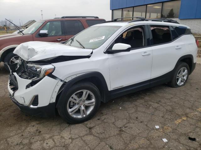 GMC TERRAIN SL 2019 with VIN 3GKALTEV3KL142175 - Photo from auction