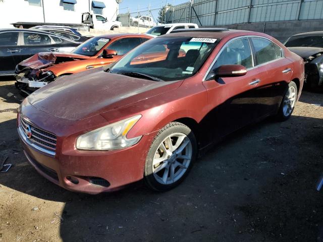 NISSAN MAXIMA S 2010 with VIN 1N4AA5AP9AC865579 - Photo from auction