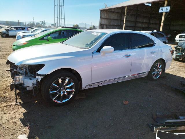 LEXUS LS 460 2008 with VIN JTHBL46F785079683 - Photo from auction
