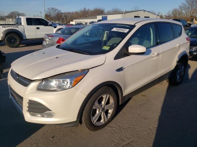 FORD ESCAPE SE 2014 with VIN 1FMCU0GX0EUA49795 - Photo from auction