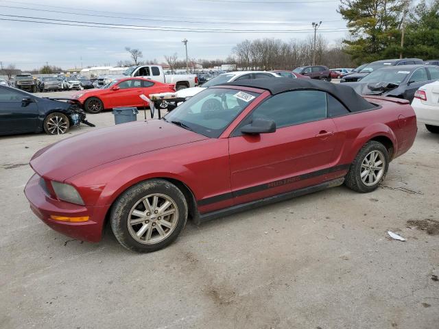 Photo 1 from auction – 2007 FORD MUSTANG with VIN 1ZVFT84N775262307