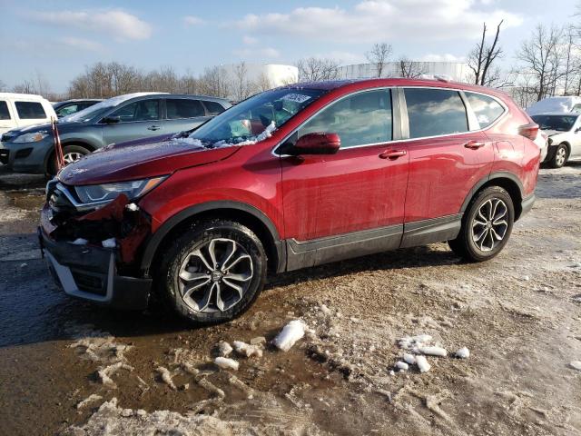 HONDA CR-V EXL 2020 with VIN 5J6RW2H80LL028650 - Photo from auction
