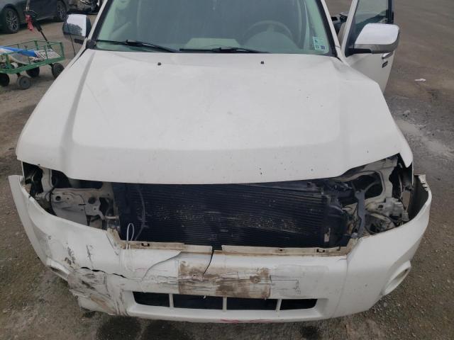 Photo 12 from auction – 2009 FORD ESCAPE XLT with VIN 1FMCU93GX9KC80764