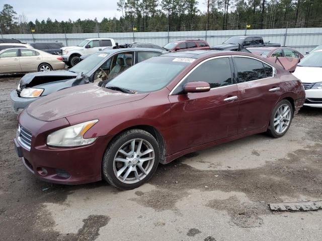 NISSAN MAXIMA S 2009 with VIN 1N4AA51E99C859517 - Photo from auction