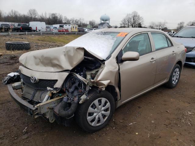 TOYOTA COROLLA BA 2010 with VIN 2T1BU4EE0AC244019 - Photo from auction