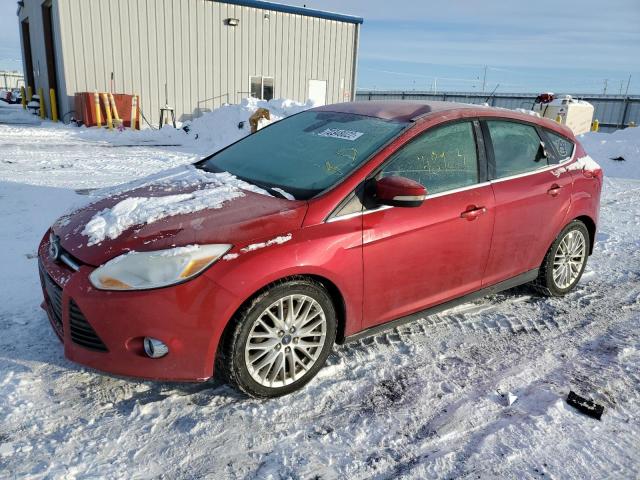 FORD FOCUS SEL 2012 with VIN 1FAHP3M29CL366656 - Photo from auction