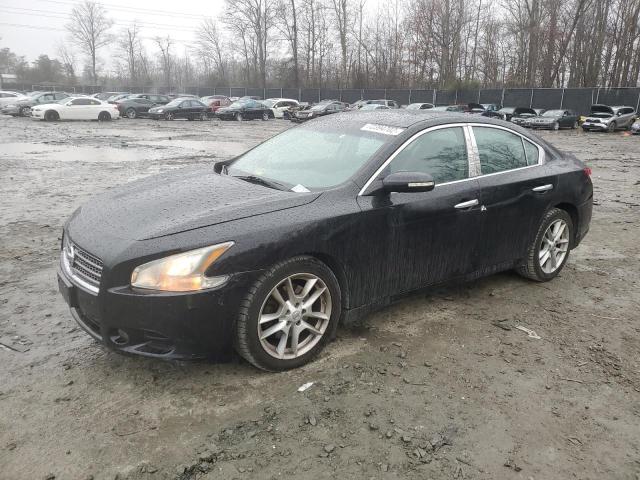 NISSAN MAXIMA S 2009 with VIN 1N4AA51E99C831829 - Photo from auction