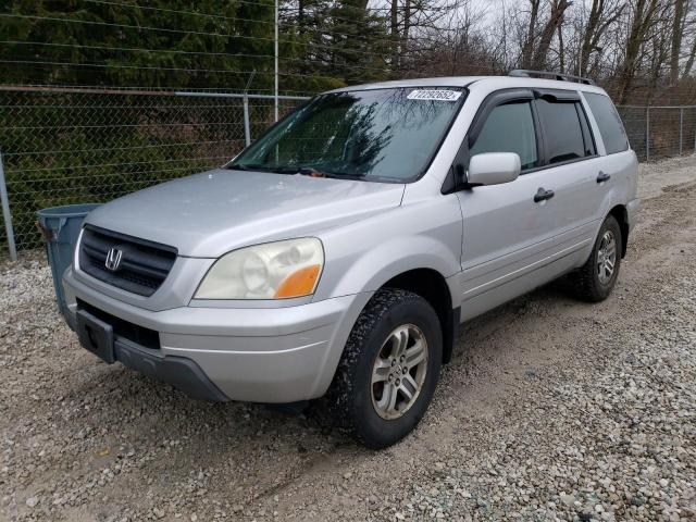 HONDA PILOT EX 2005 with VIN 5FNYF18405B033779 - Photo from auction