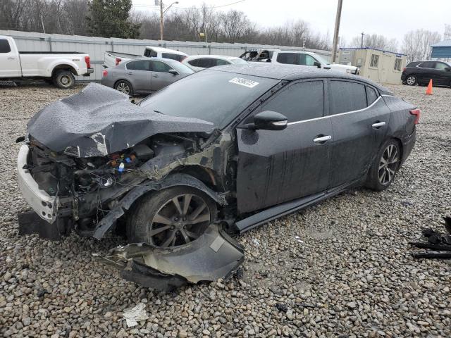 NISSAN MAXIMA 2017 with VIN 1N4AA6AP1HC447730 - Photo from auction