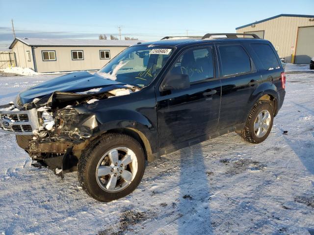 FORD ESCAPE XLT 2010 with VIN 1FMCU9D77AKD31351 - Photo from auction