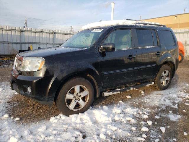 HONDA PILOT EXL 2011 with VIN 5FNYF4H65BB507398 - Photo from auction