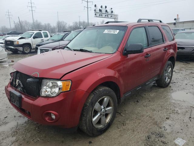 FORD ESCAPE XLT 2012 with VIN 1FMCU0DGXCKA43161 - Photo from auction