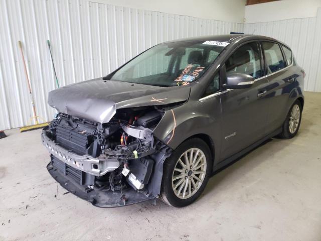 FORD C-MAX SEL 2013 with VIN 1FADP5BU9DL538099 - Photo from auction