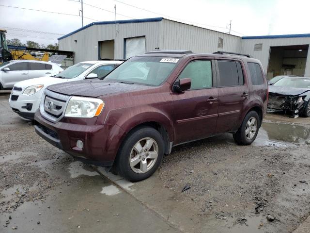 HONDA PILOT EXL 2009 with VIN 5FNYF38589B014858 - Photo from auction