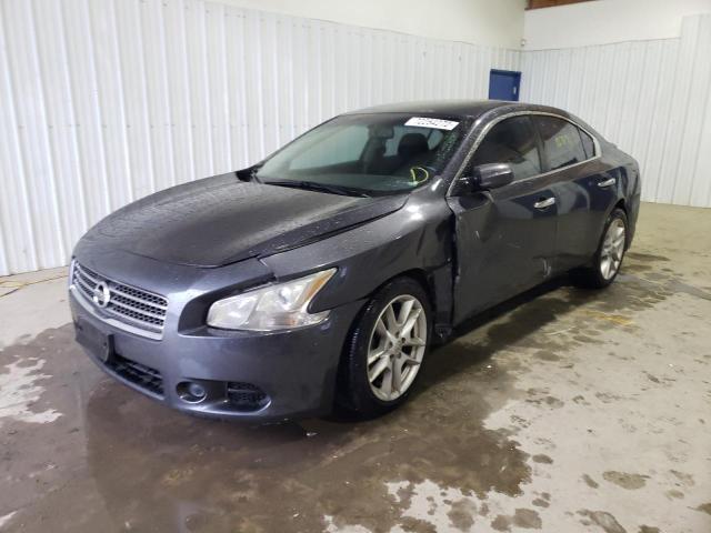 NISSAN MAXIMA S 2009 with VIN 1N4AA51E99C854382 - Photo from auction